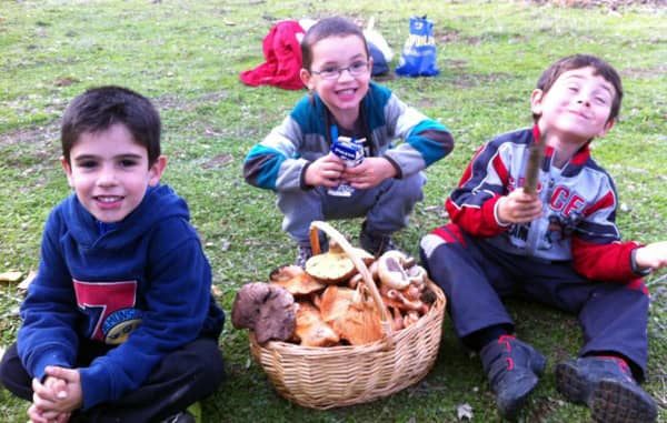 Actividad de SERBAL con niños en Paterna, castañas y setas