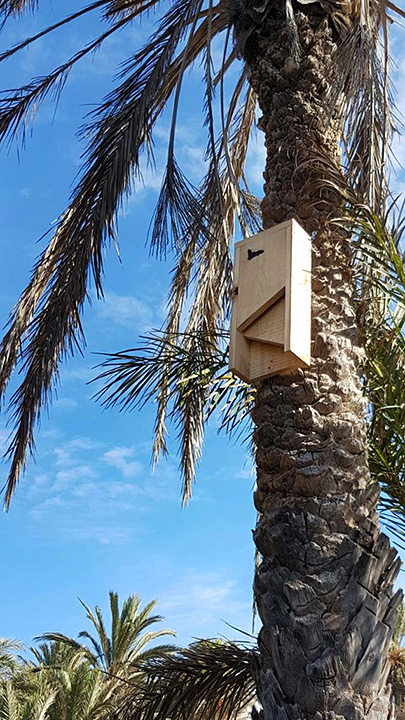 Cajas nido para murciélagos