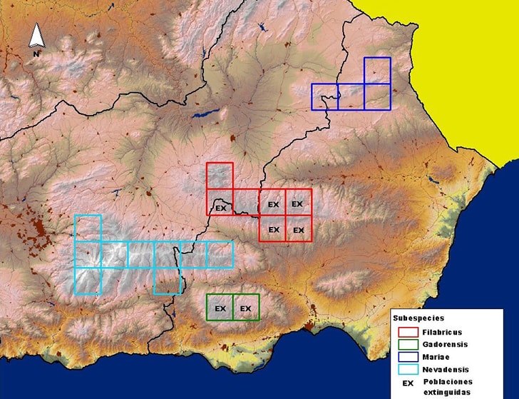 Mapa de distribución de Parnassius apollo en Andalucía