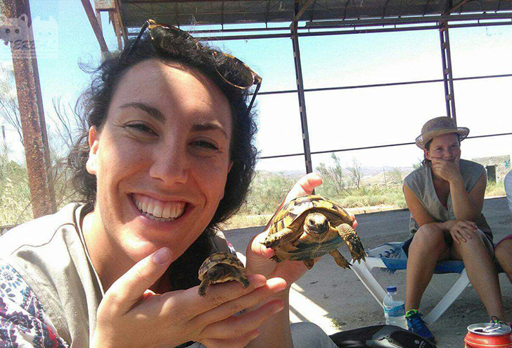 Voluntariso de SERBAL en el tercer censo de tortuga mora 2017