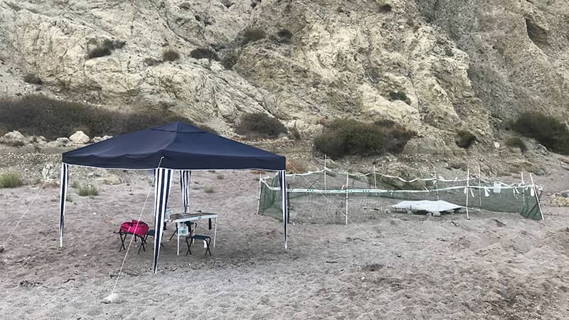 Carpa para los voluntarios y perimetro del nido de tortuga boba en Almería