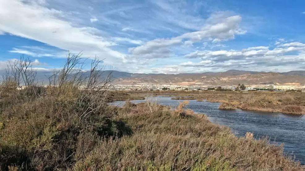 Humedal de la Ribera de la Algaida