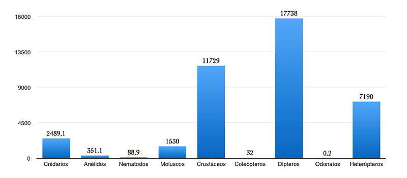 Grafico de categorías taxonómicas en charcas del humedal de la Ribera de la Algaida