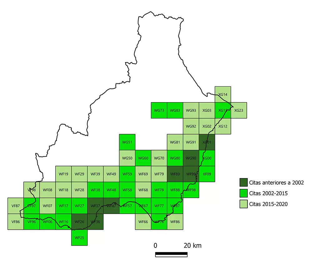 Mapa de distribución actualizado a julio de 2020 del camaleón común en Almería