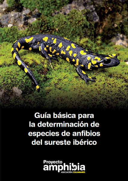 Guía anfibios sureste ibérico